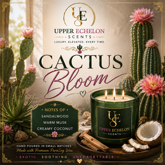 Cactus Bloom