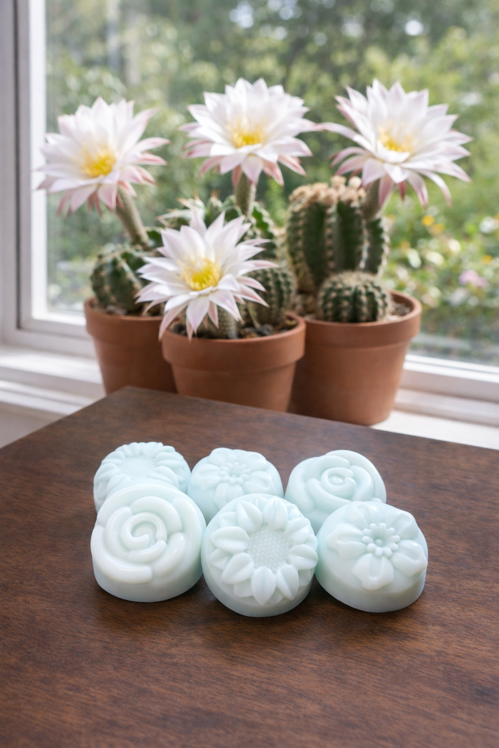 Cactus Bloom