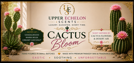 Cactus Bloom